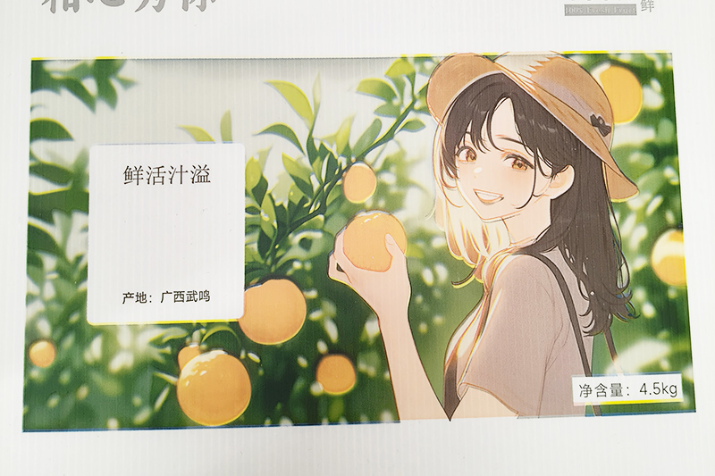 钙塑板包装、中塑板包...
